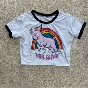 Hail Satan crop top